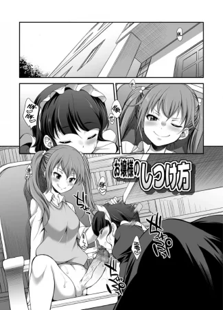 Ojou-sama no Shitsukekata