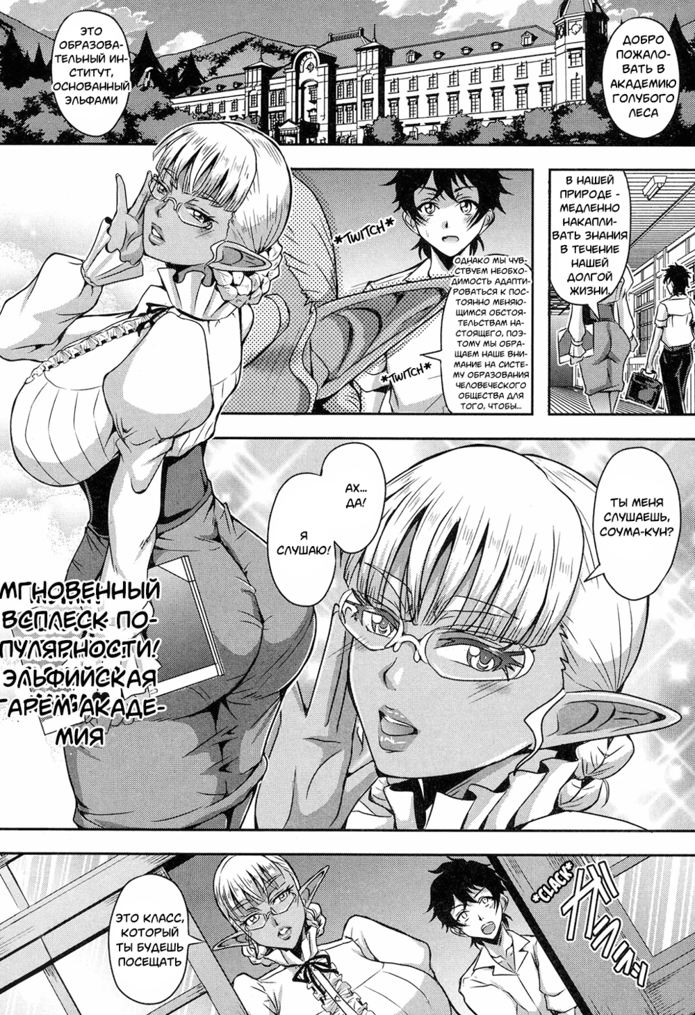Elf Harem Academia
