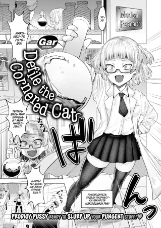Загнанная в угол крыска оскверняет кошку (Defile the Cornered Cats)